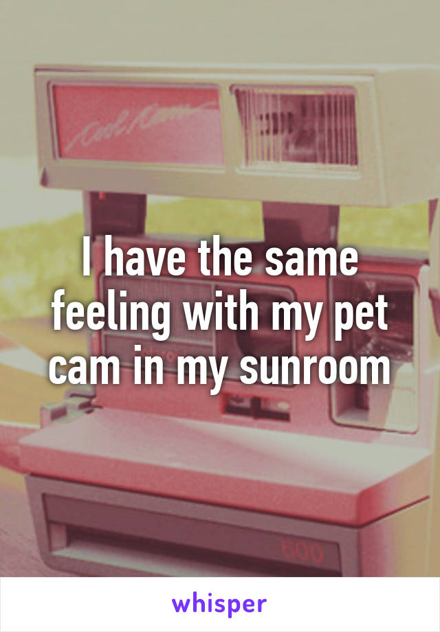 I have the same feeling with my pet cam in my sunroom