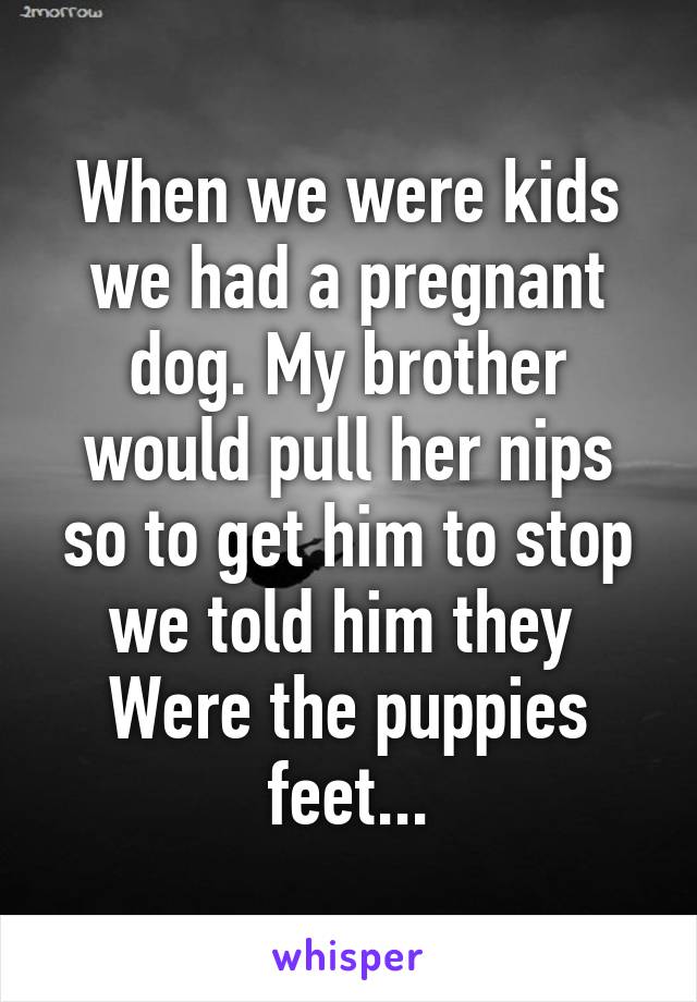 When we were kids we had a pregnant dog. My brother would pull her nips so to get him to stop we told him they 
Were the puppies feet...