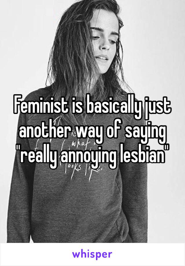 Feminist is basically just another way of saying "really annoying lesbian" 