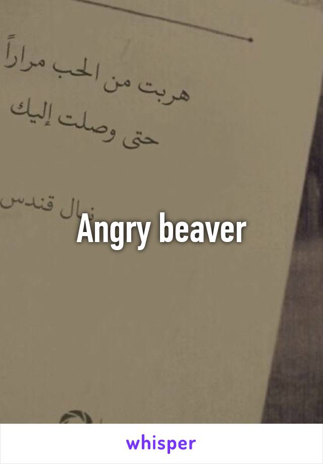 Angry beaver