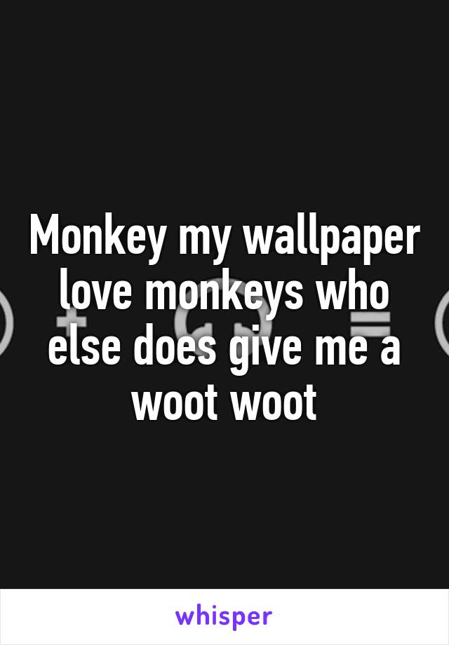 Monkey my wallpaper love monkeys who else does give me a woot woot