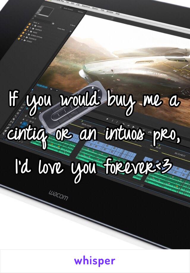 If you would buy me a cintiq or an intuos pro, I'd love you forever<3