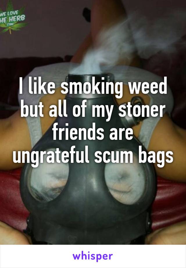 I like smoking weed but all of my stoner friends are ungrateful scum bags 