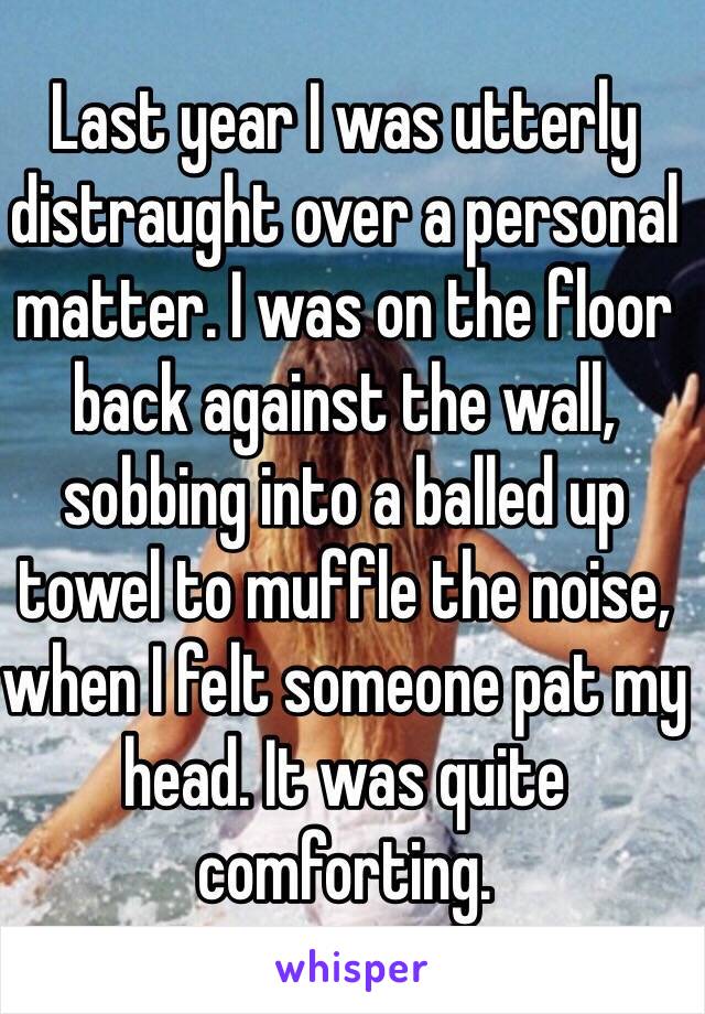 Last year I was utterly distraught over a personal matter. I was on the floor back against the wall, sobbing into a balled up towel to muffle the noise, when I felt someone pat my head. It was quite comforting.