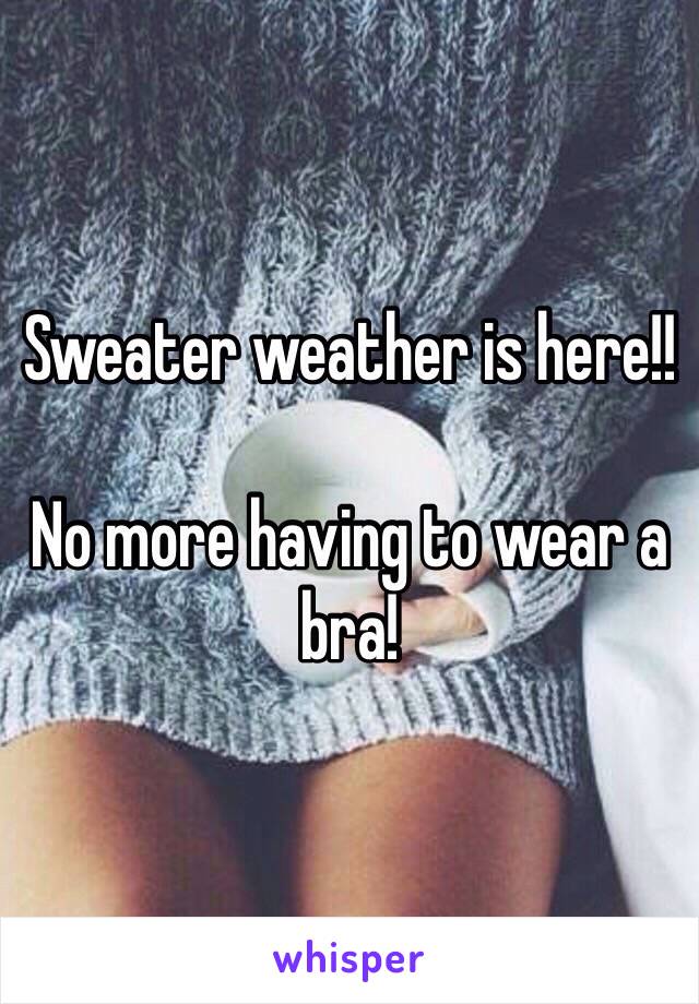 Sweater weather is here!!

No more having to wear a bra!