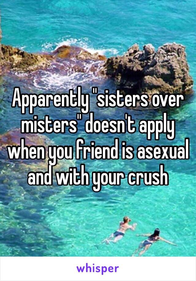 Apparently "sisters over misters" doesn't apply when you friend is asexual and with your crush