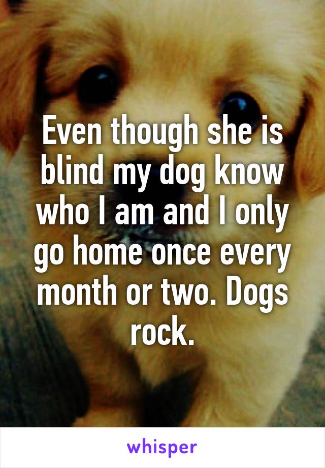 Even though she is blind my dog know who I am and I only go home once every month or two. Dogs rock.