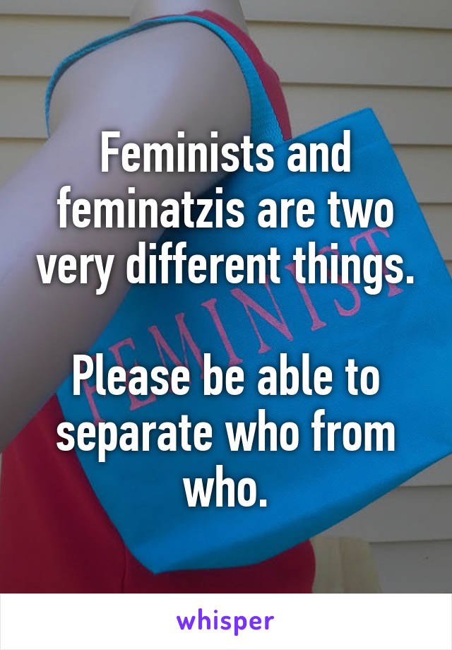 Feminists and feminatzis are two very different things.

Please be able to separate who from who.