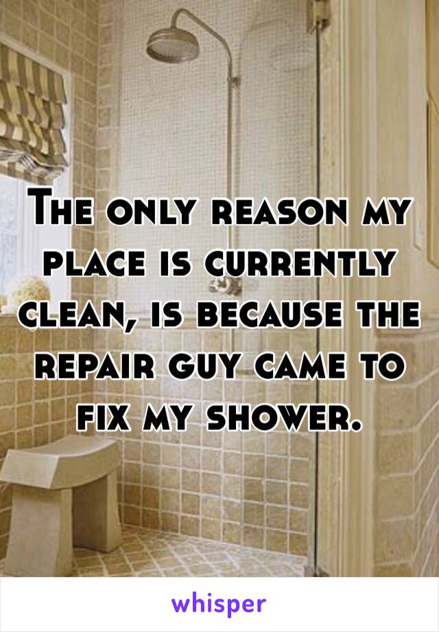 The only reason my place is currently clean, is because the repair guy came to fix my shower.