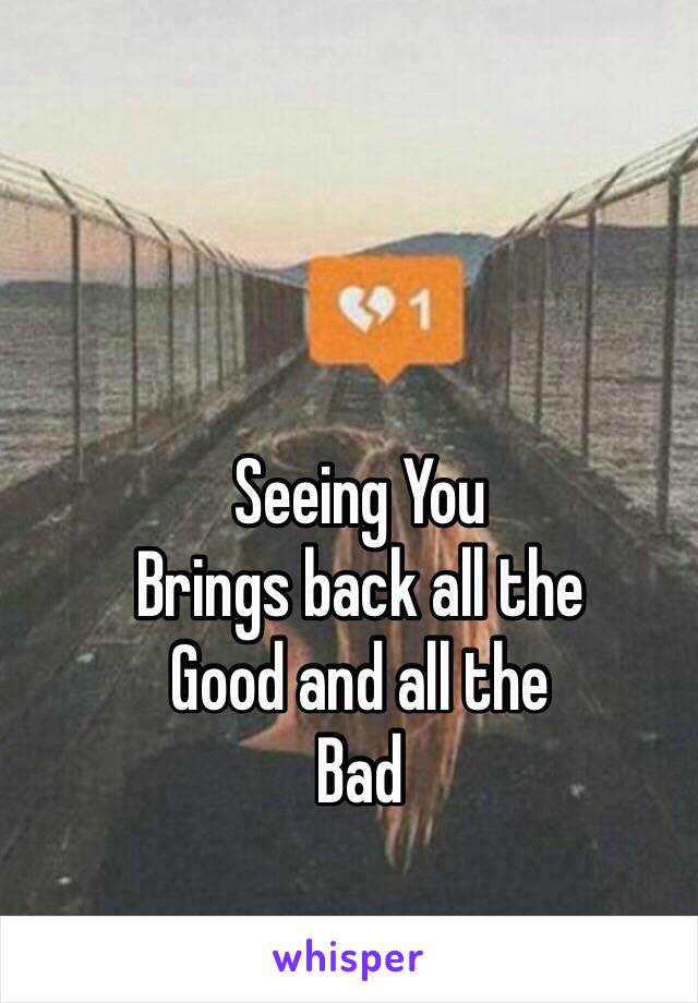 Seeing You 
Brings back all the
Good and all the
Bad