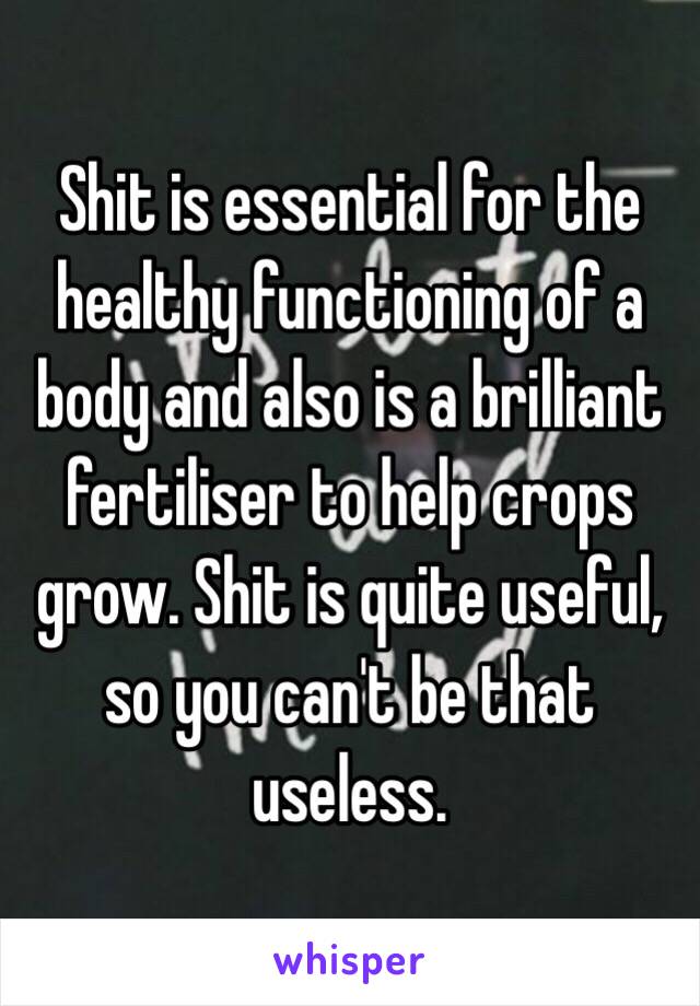 Shit is essential for the healthy functioning of a body and also is a brilliant fertiliser to help crops grow. Shit is quite useful, so you can't be that useless. 