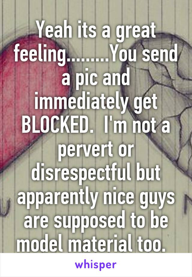 Yeah its a great feeling.........You send a pic and immediately get BLOCKED.  I'm not a pervert or disrespectful but apparently nice guys are supposed to be model material too.  