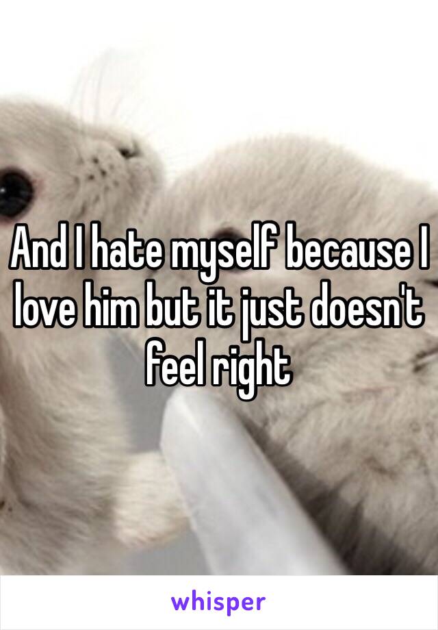 And I hate myself because I love him but it just doesn't feel right