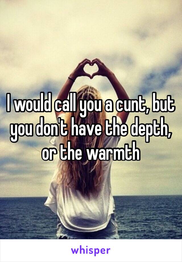 I would call you a cunt, but you don't have the depth, or the warmth 