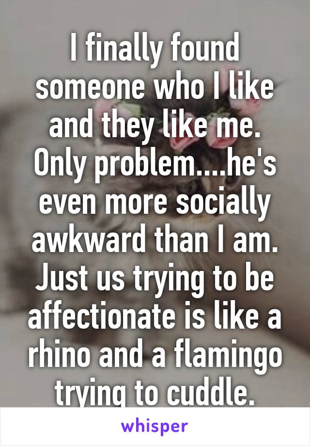 I finally found someone who I like and they like me. Only problem....he's even more socially awkward than I am. Just us trying to be affectionate is like a rhino and a flamingo trying to cuddle.