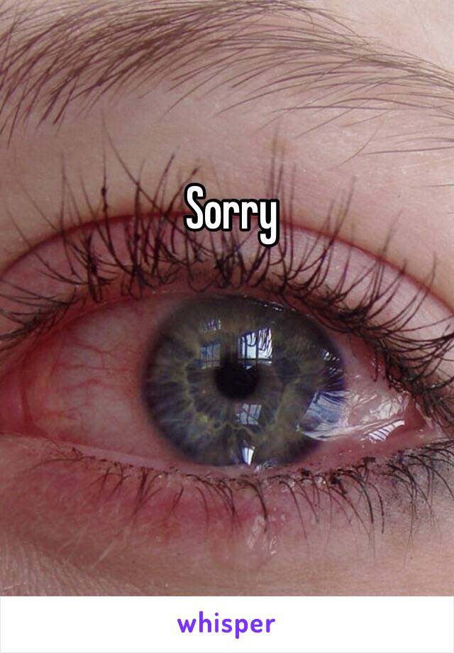 Sorry