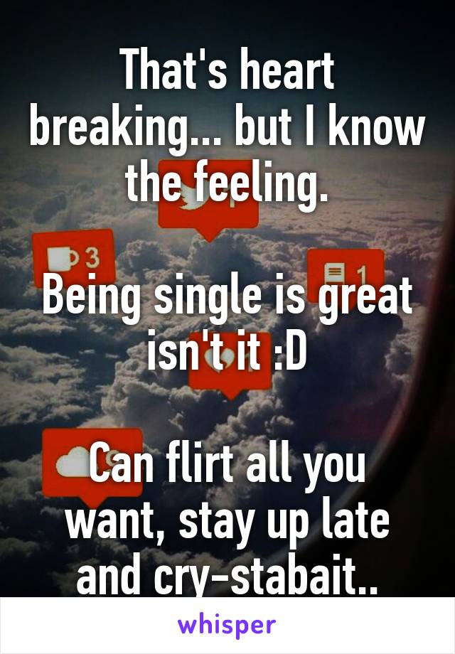 That's heart breaking... but I know the feeling.

Being single is great isn't it :D

Can flirt all you want, stay up late and cry-stabait..