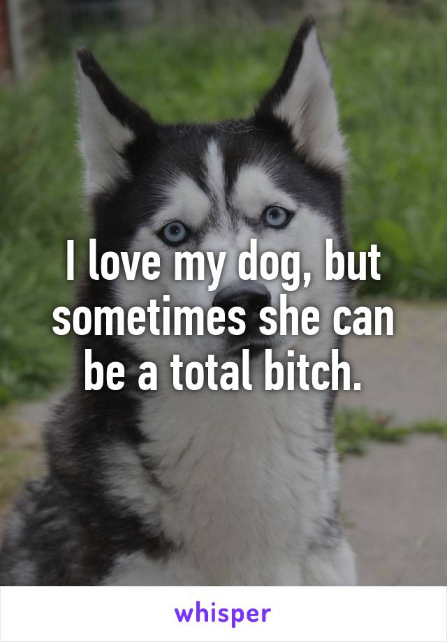 I love my dog, but sometimes she can be a total bitch.