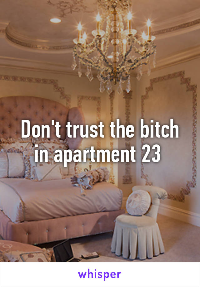 Don't trust the bitch in apartment 23 