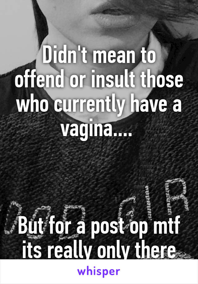 

Didn't mean to offend or insult those who currently have a vagina.... 



But for a post op mtf its really only there for one reason. 