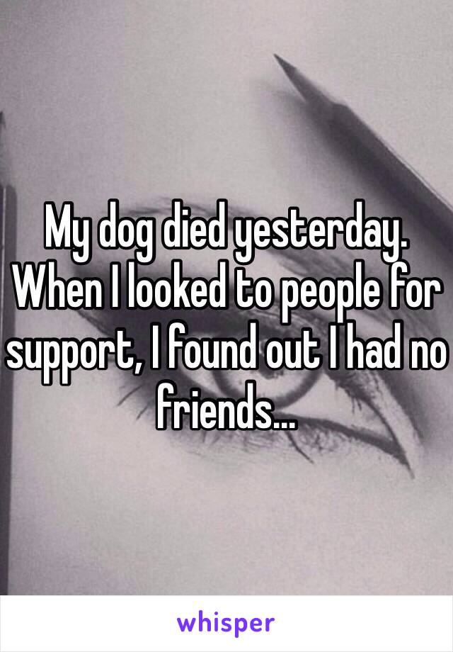 My dog died yesterday. When I looked to people for support, I found out I had no friends...