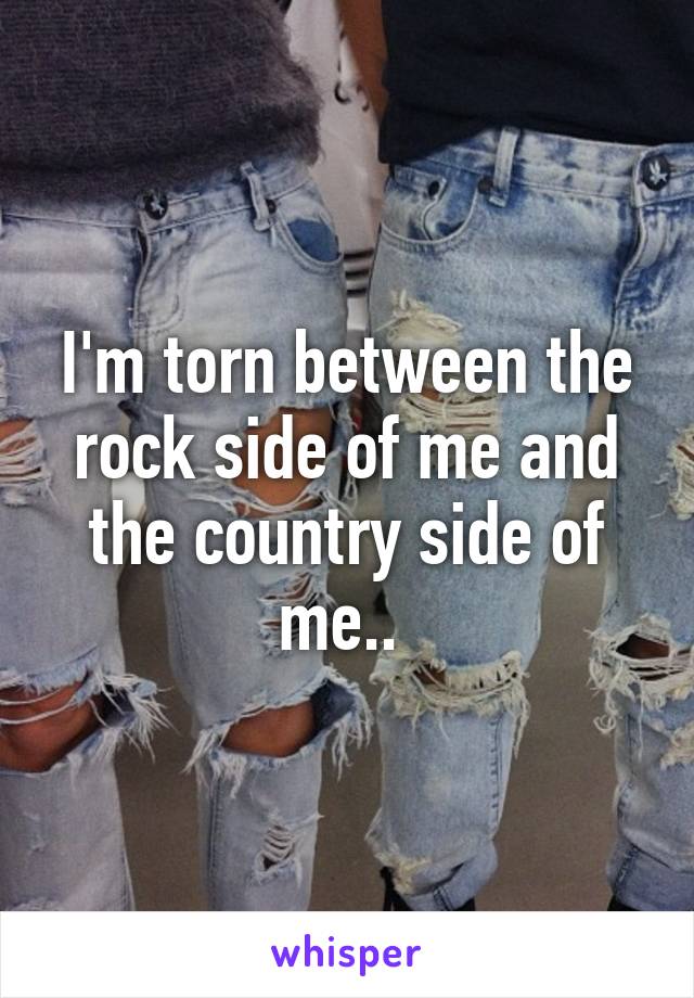 I'm torn between the rock side of me and the country side of me.. 