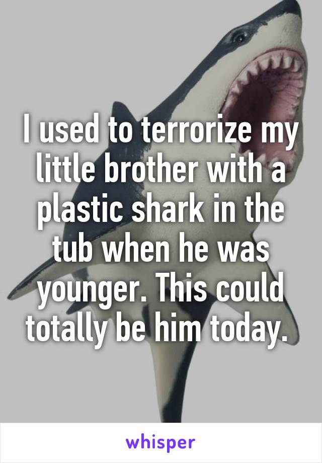 I used to terrorize my little brother with a plastic shark in the tub when he was younger. This could totally be him today. 