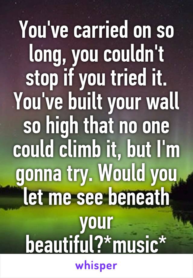 You've carried on so long, you couldn't stop if you tried it. You've built your wall so high that no one could climb it, but I'm gonna try. Would you let me see beneath your beautiful?*music*