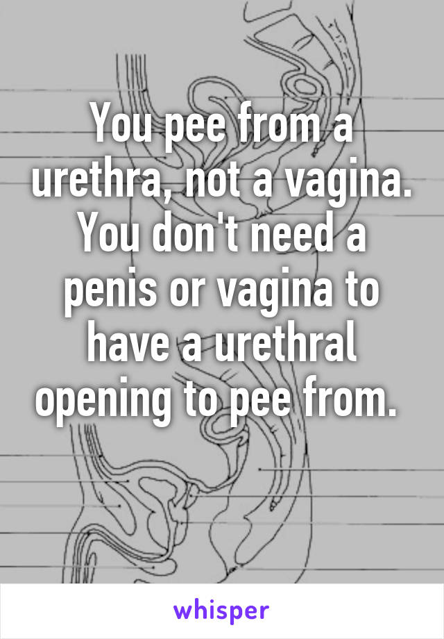 You pee from a urethra, not a vagina. You don't need a penis or vagina to have a urethral opening to pee from. 

