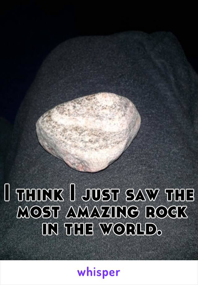 I think I just saw the most amazing rock in the world.