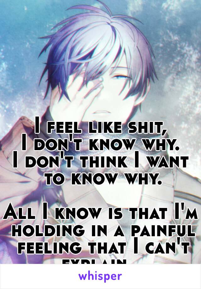 I feel like shit,
I don't know why.
I don't think I want to know why.

All I know is that I'm holding in a painful feeling that I can't explain...