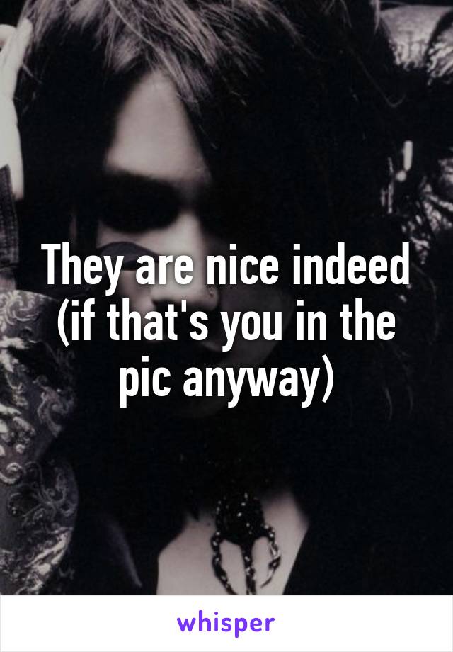 They are nice indeed (if that's you in the pic anyway)