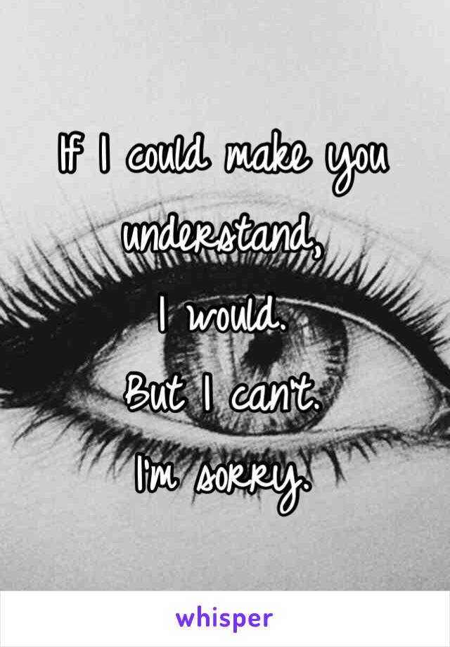 If I could make you understand,
I would. 
But I can't. 
I'm sorry. 