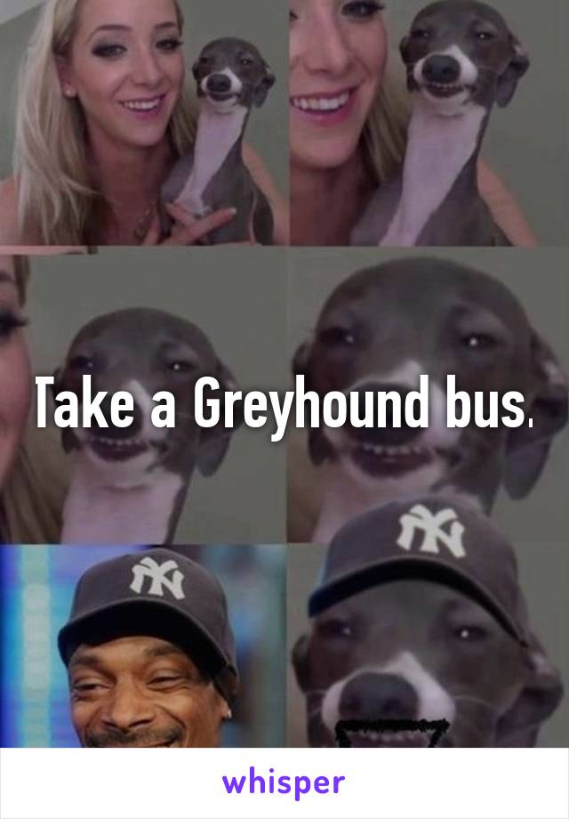 Take a Greyhound bus.