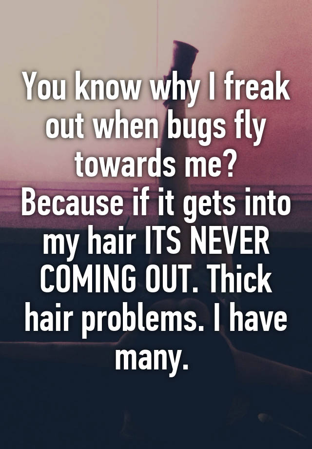 You know why I freak out when bugs fly towards me? Because if it gets into my hair ITS NEVER COMING OUT. Thick hair problems. I have many. 