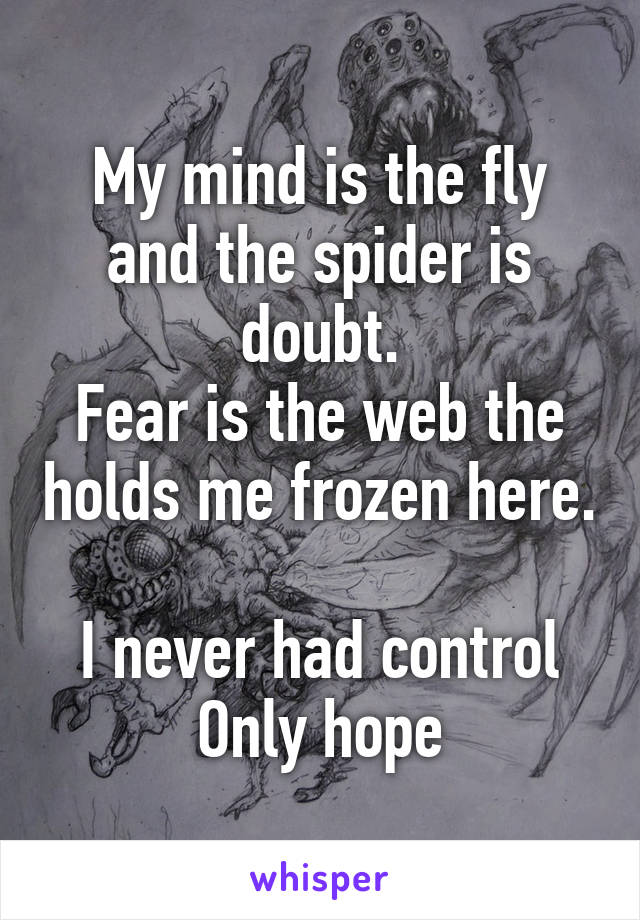 My mind is the fly and the spider is doubt.
Fear is the web the holds me frozen here.

I never had control
Only hope