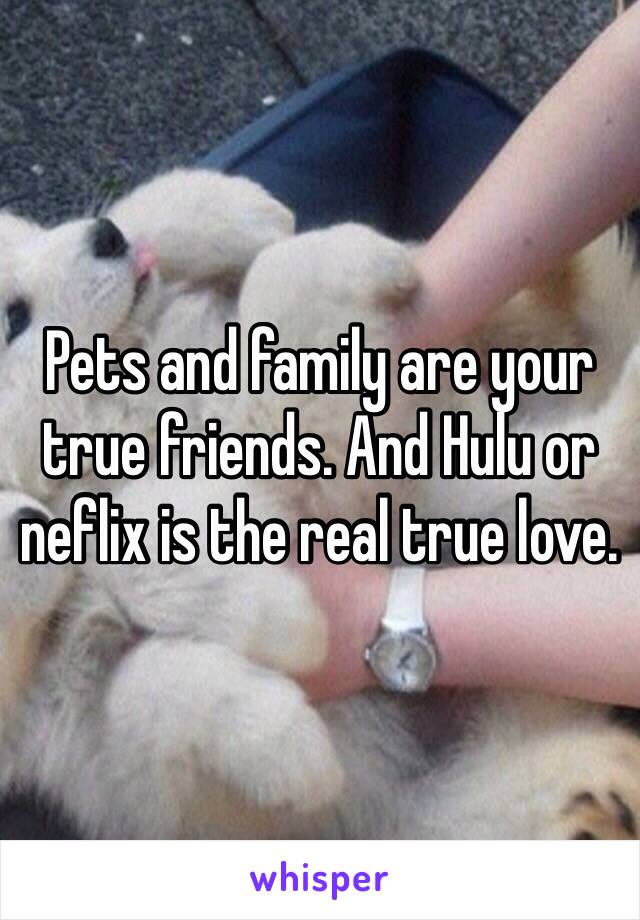 Pets and family are your true friends. And Hulu or neflix is the real true love. 