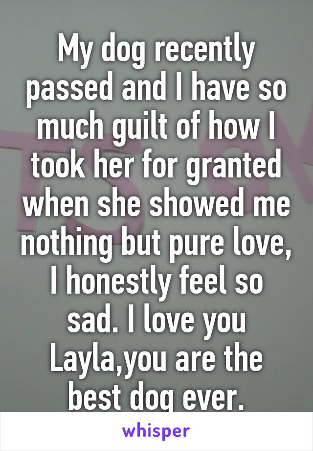 My dog recently passed and I have so much guilt of how I took her for granted when she showed me nothing but pure love, I honestly feel so sad. I love you Layla,you are the best dog ever.