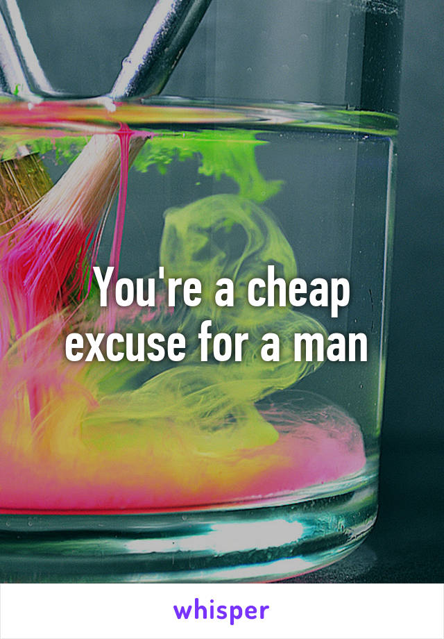 You're a cheap excuse for a man 