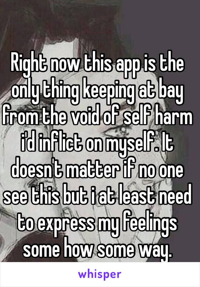 Right now this app is the only thing keeping at bay from the void of self harm i'd inflict on myself. It doesn't matter if no one see this but i at least need to express my feelings some how some way. 