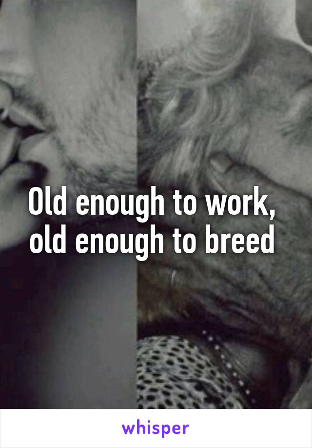 Old enough to work,  old enough to breed 