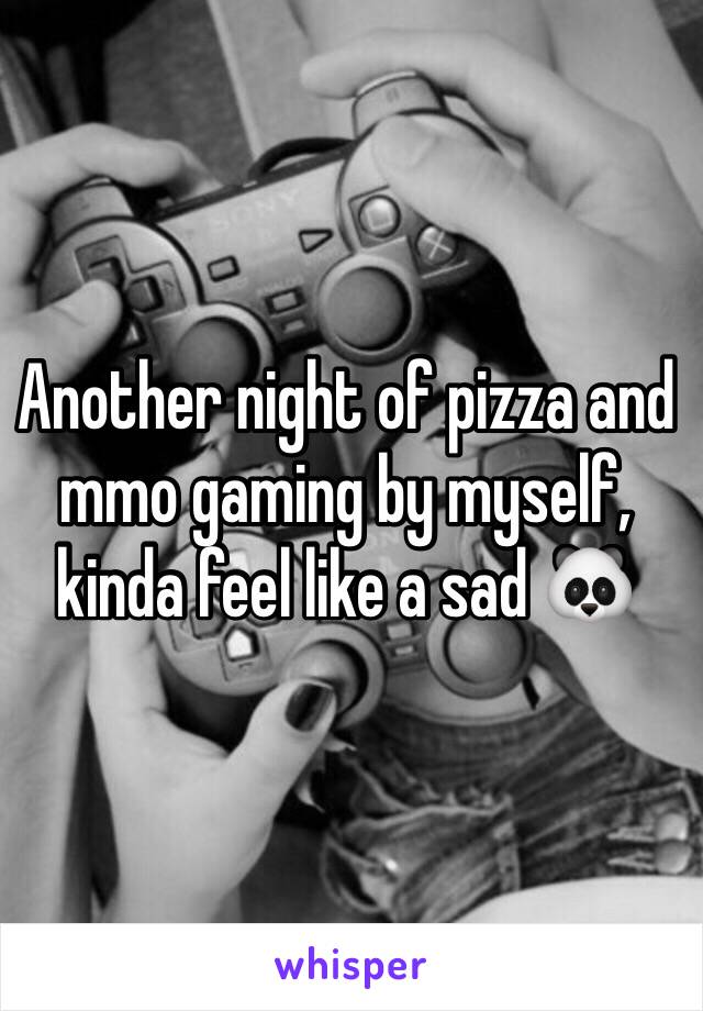 Another night of pizza and mmo gaming by myself, kinda feel like a sad 🐼