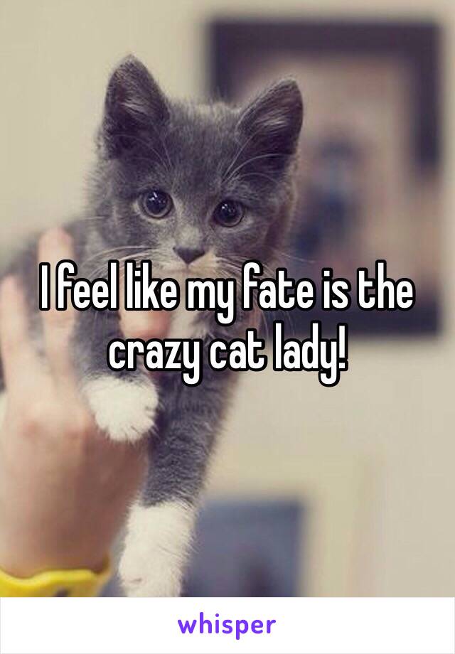 I feel like my fate is the crazy cat lady!