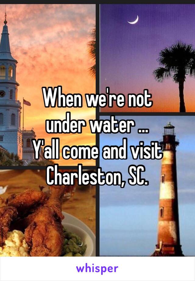 When we're not
under water ...
Y'all come and visit
Charleston, SC. 