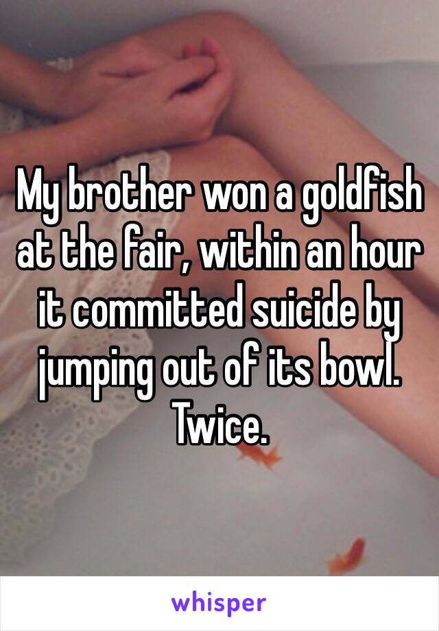 My brother won a goldfish at the fair, within an hour it committed suicide by jumping out of its bowl. Twice.