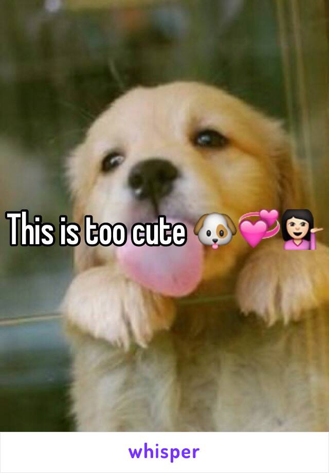 This is too cute 🐶💞💁🏻