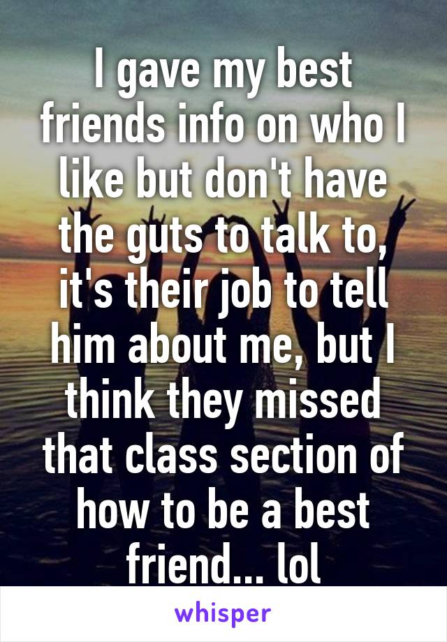 I gave my best friends info on who I like but don't have the guts to talk to, it's their job to tell him about me, but I think they missed that class section of how to be a best friend... lol