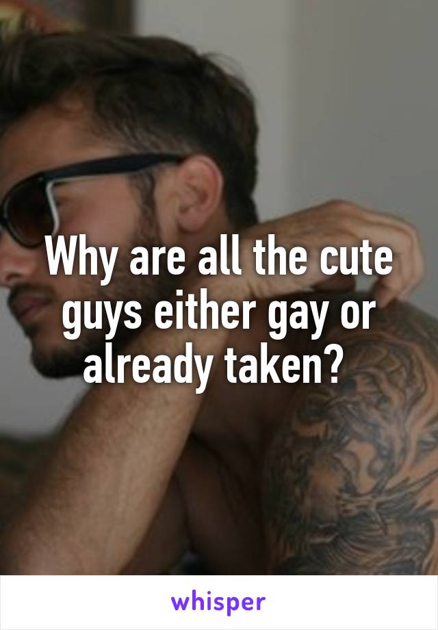 Why are all the cute guys either gay or already taken? 