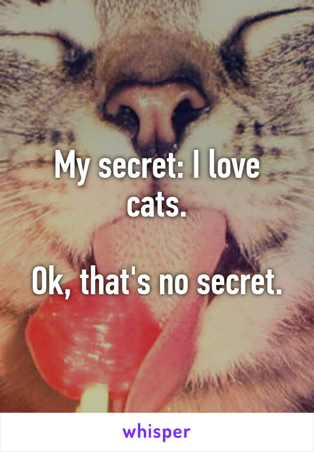 My secret: I love cats.

Ok, that's no secret.