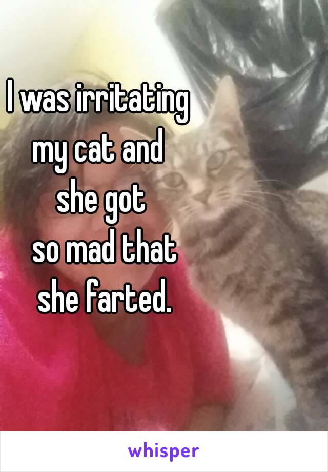 I was irritating 
my cat and 
she got
 so mad that
 she farted.